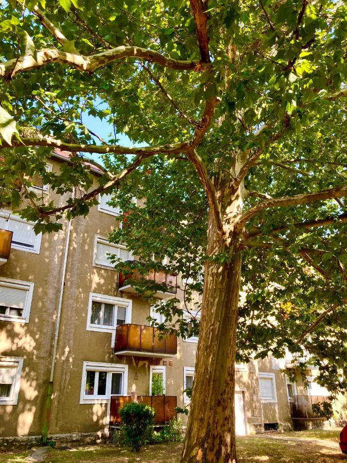 Esther Apartman Tatabánya Exterior foto